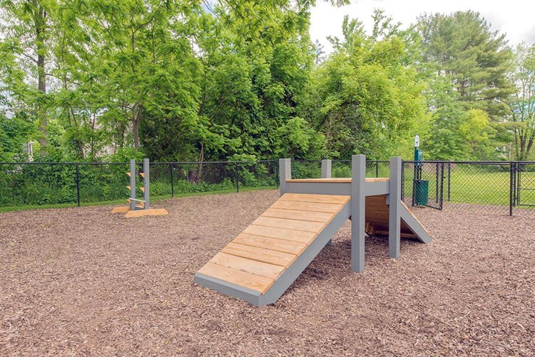 Our off-leash dog park features agility equipment for your pup.
