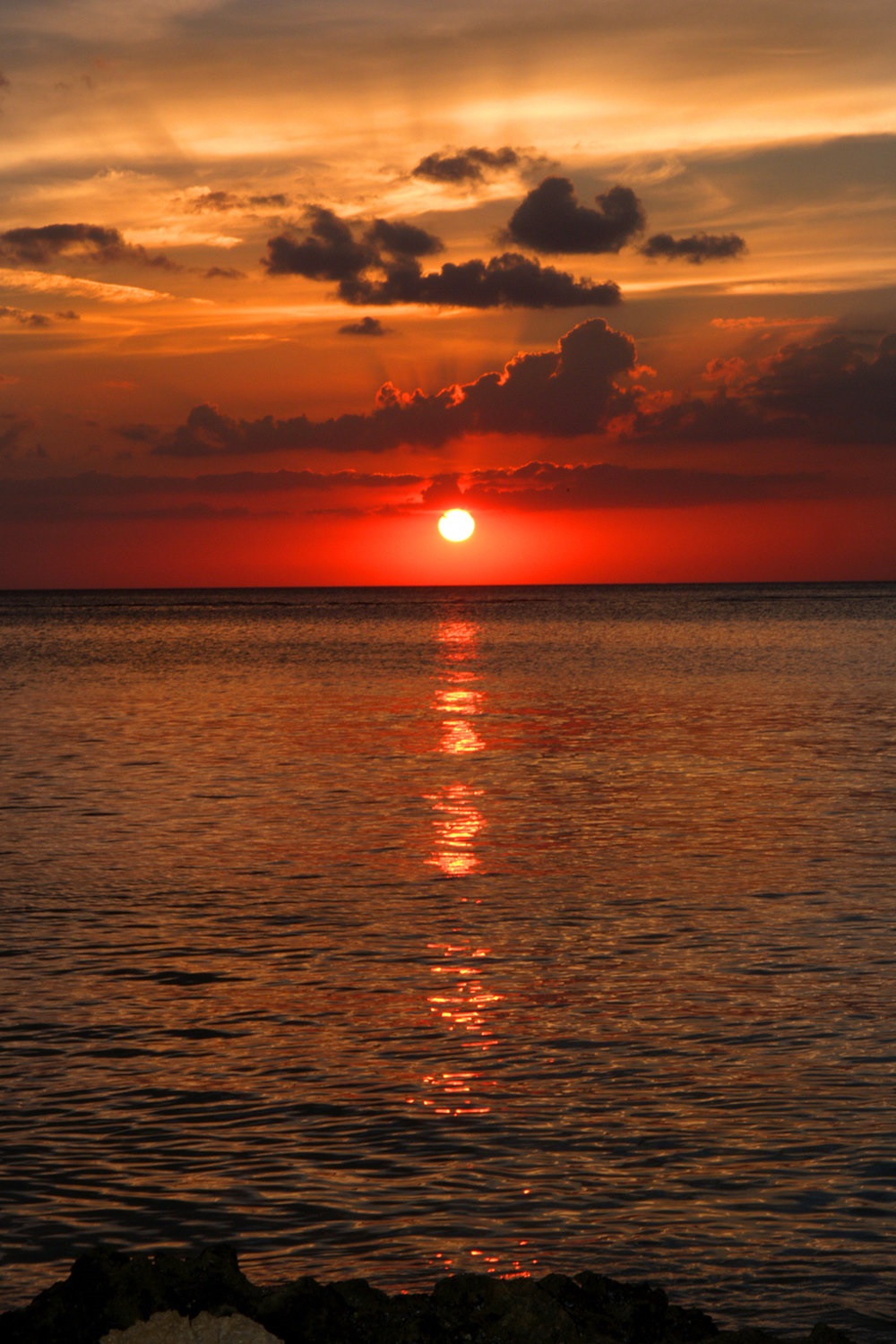 The DeSota Image 22