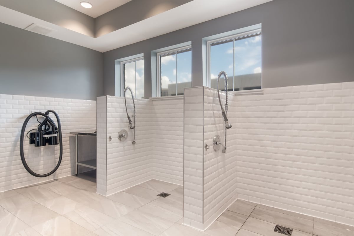 The Alastair at Aria Village Image 6