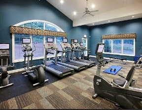 Dublin Terrace Image 8