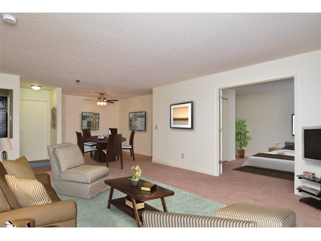 Spacious Studio, 1, 2 and 3 Bedroom Apartments