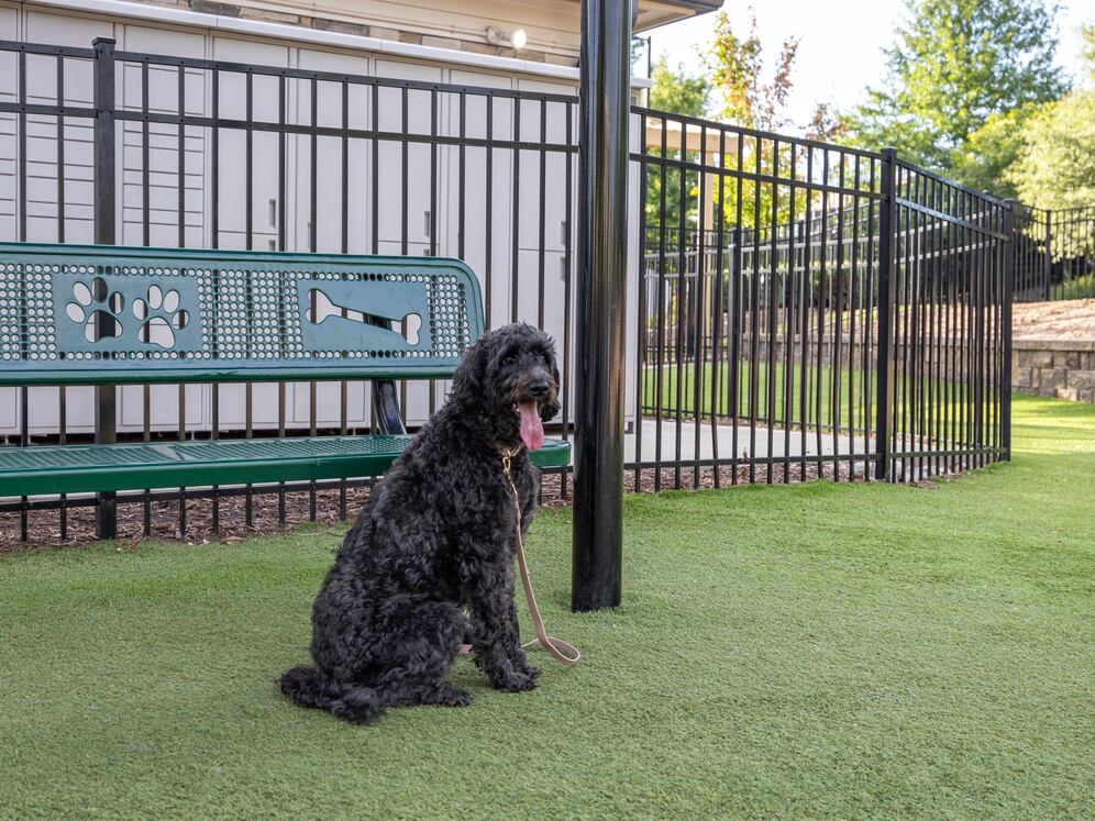 Pet-friendly community with WAG Pet Park