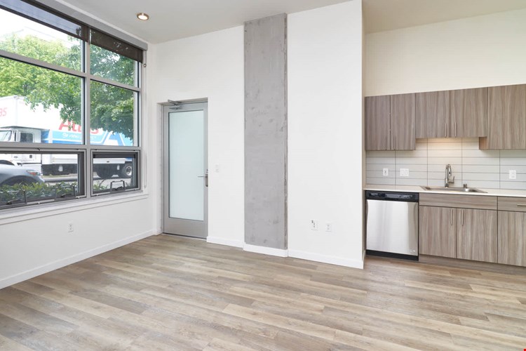 Springline  Image 52