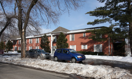 Sunny Delight Image 4