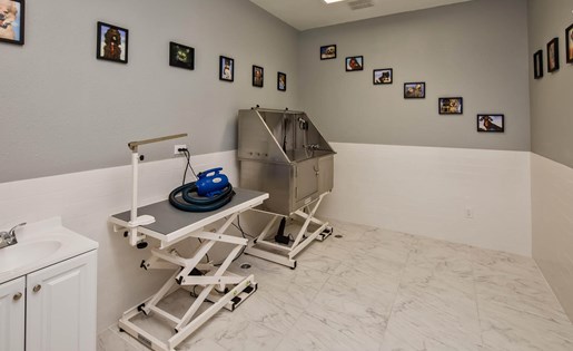 Elements on Third Image 19