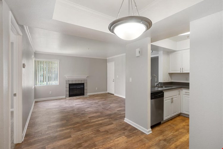 Mill Springs Park Apartment Homes Image 11