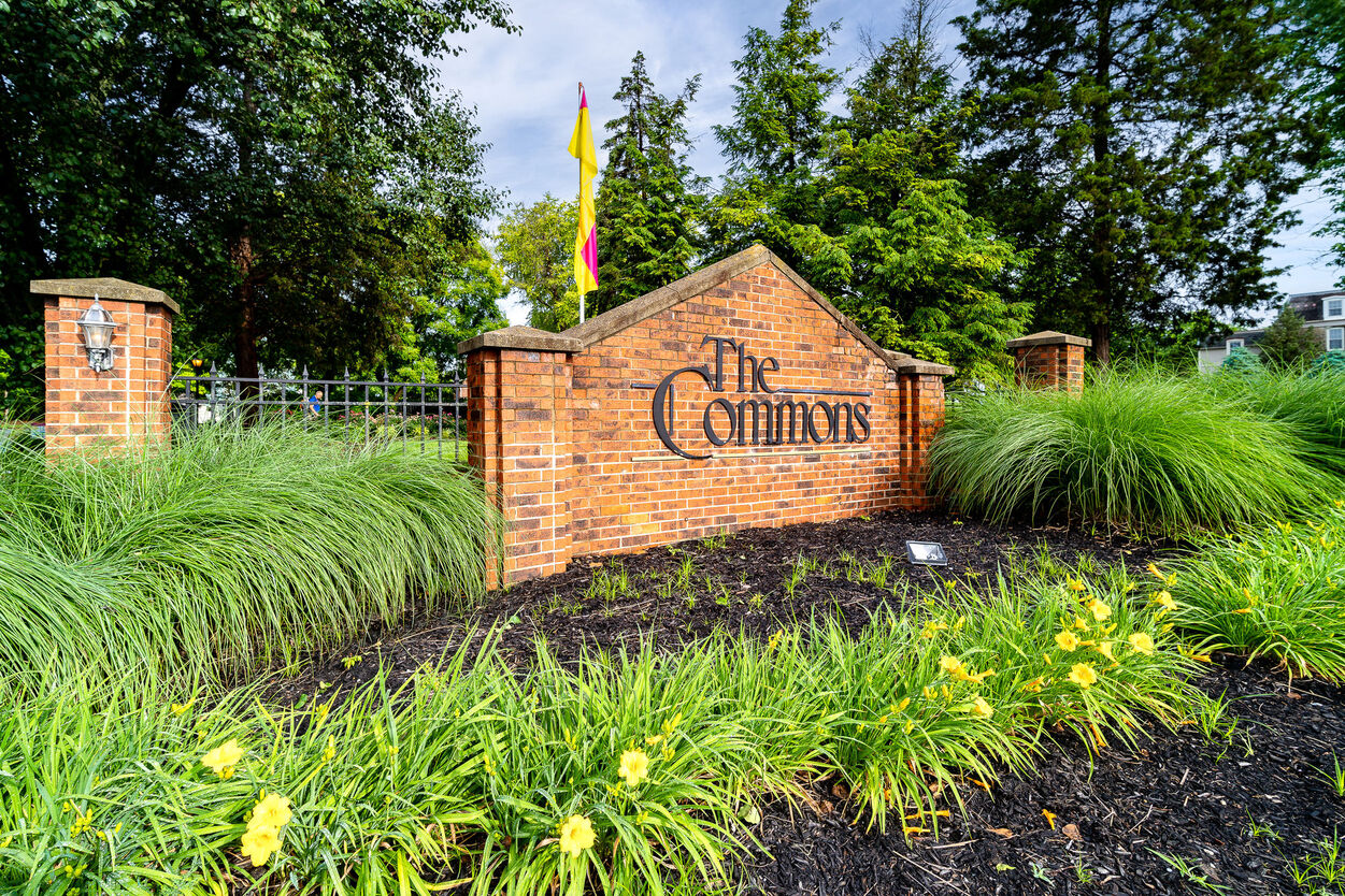 The Commons  Image 3