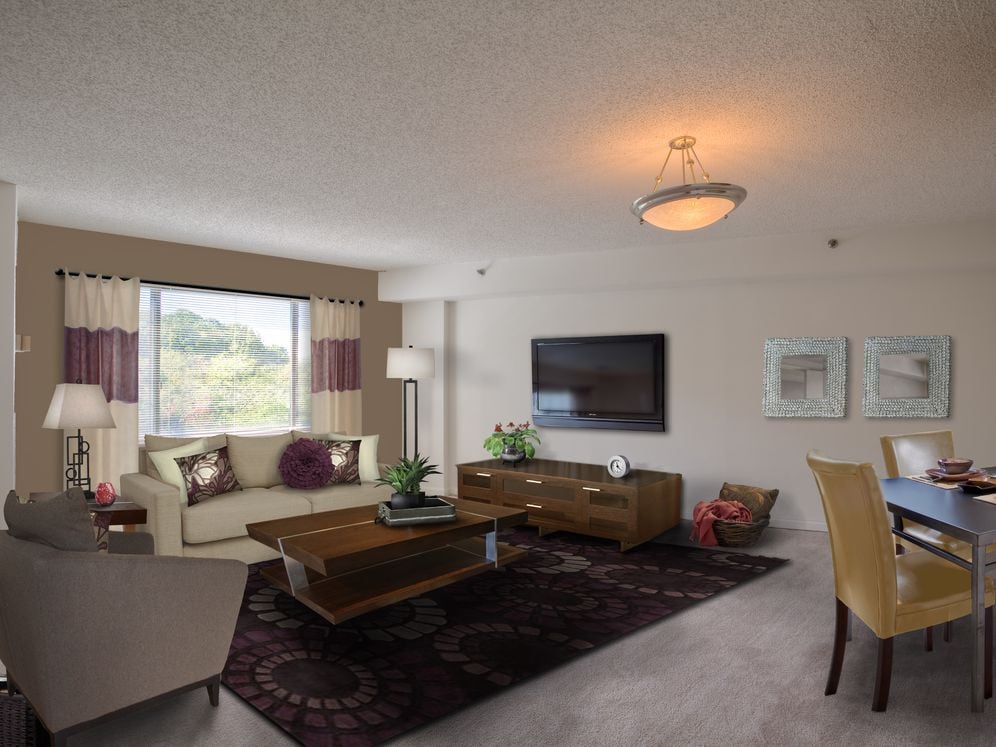 Carpeted living and dining area with accent wall