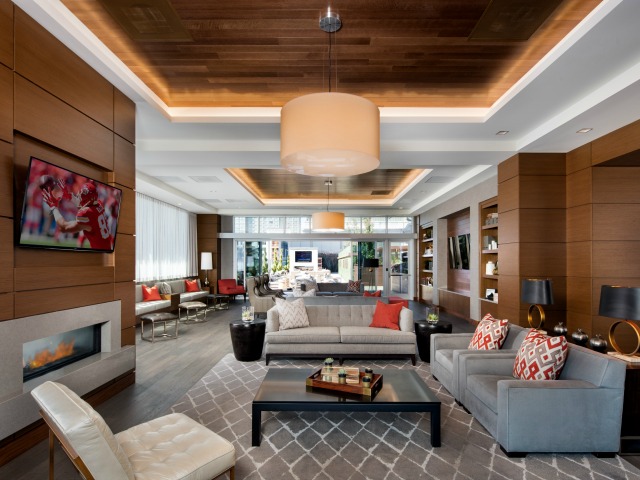 One Light Luxury Apartments Image 4