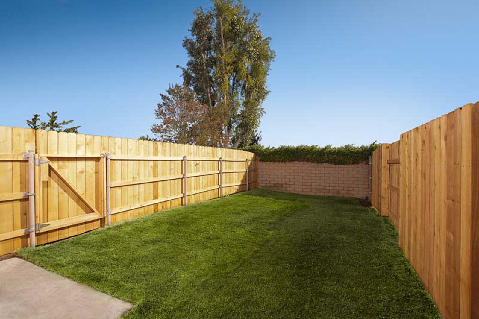Linden Court Image 6