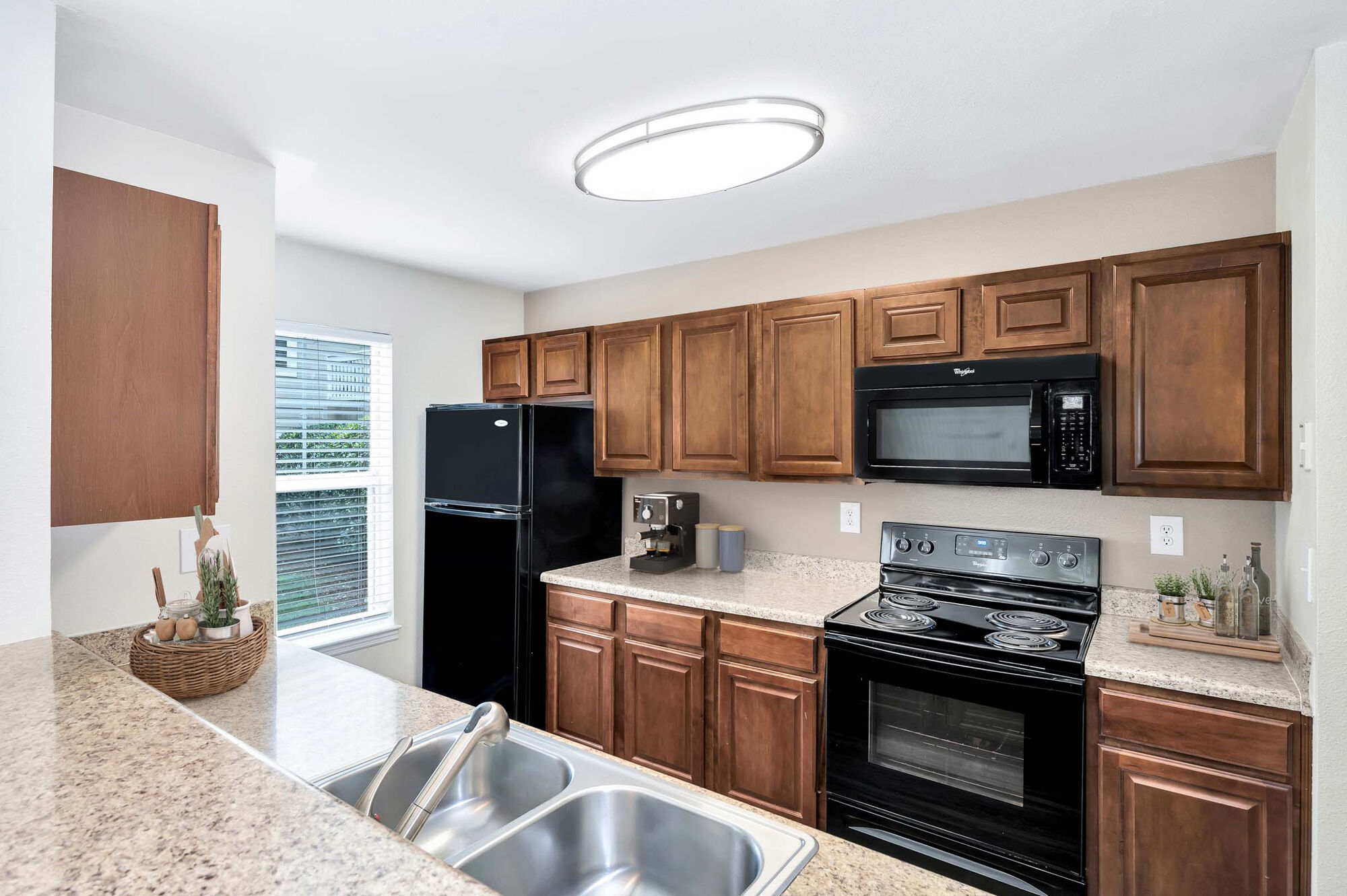 Camden Lake Pine Image 1