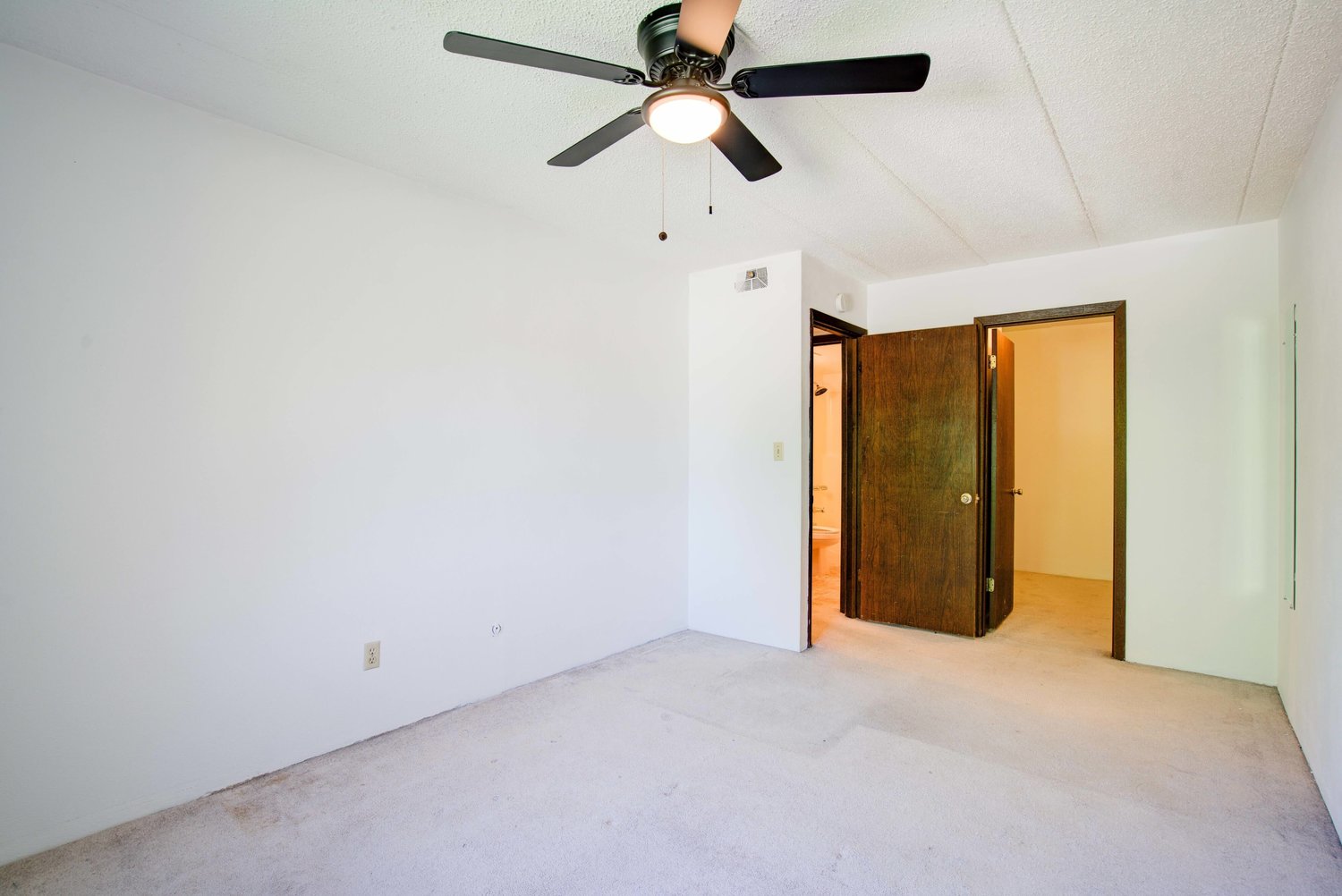 Storyboard on Sugar Pine Image 13