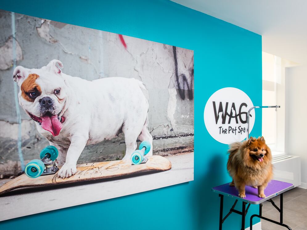 WAG pet spa