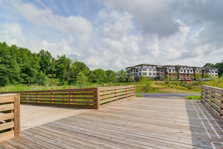 The Edison Sugarloaf Apartments Image 17