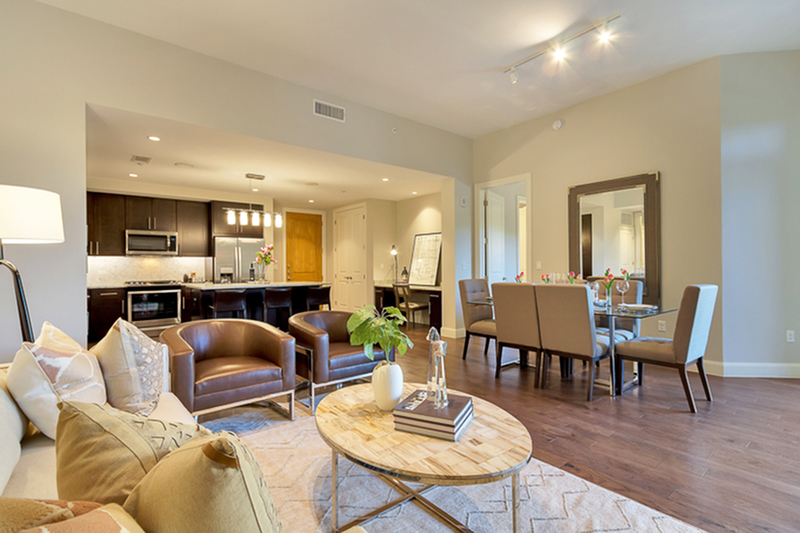 Spacious Living Room