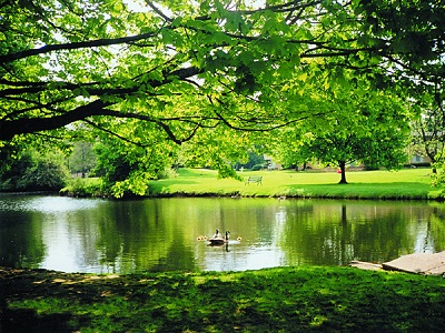 Oak Park Image 8
