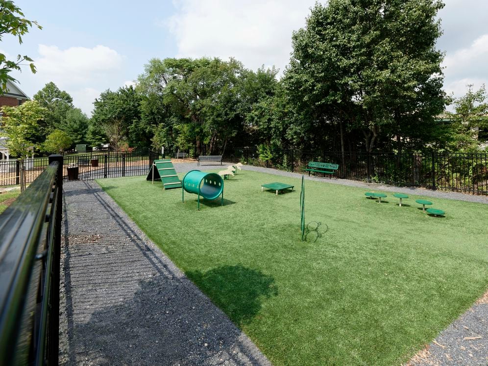 WAG Pet Park with exercise equipment and relief space