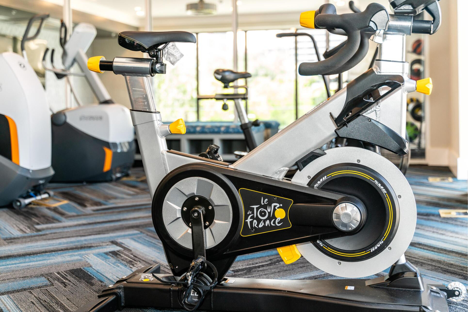 The Whitney Image 25