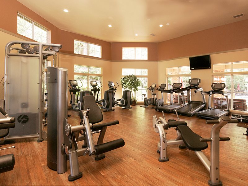 Pinnacle Highland Image 19