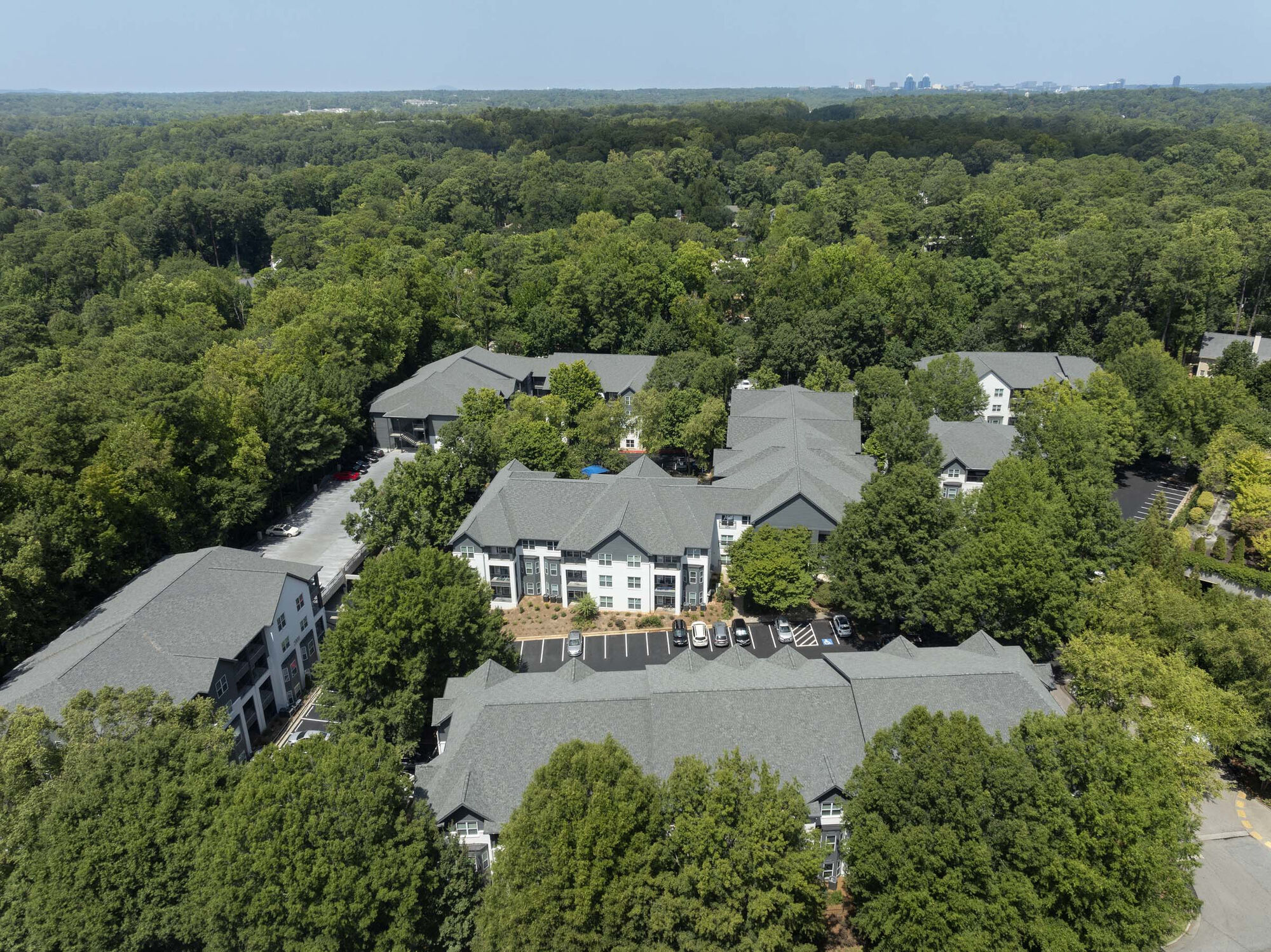 Camden Phipps Image 30