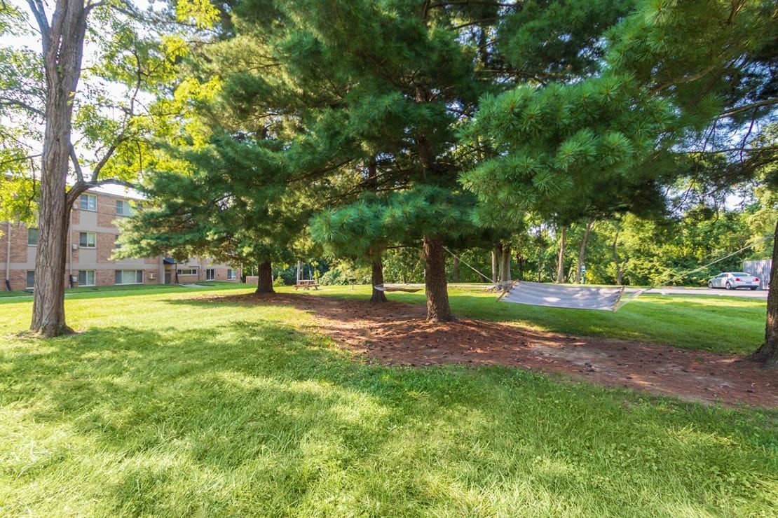 Red Bank Reserve Image 3