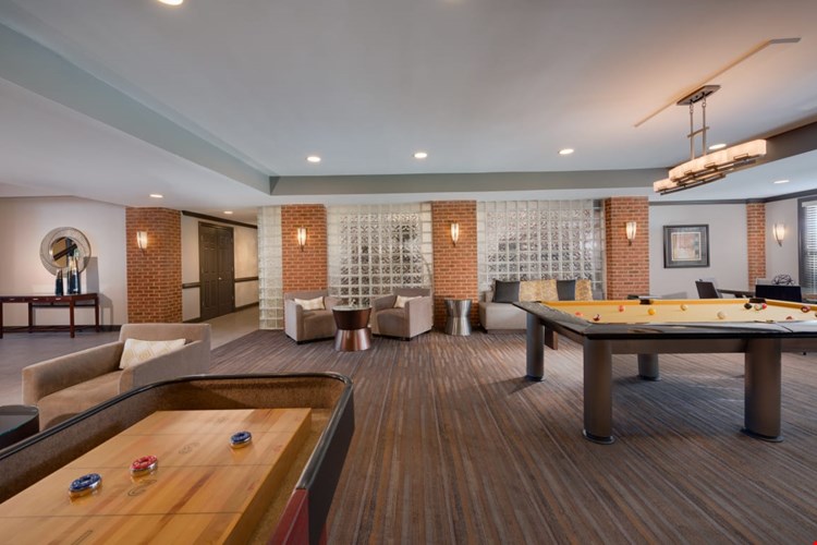 Cosmo at Lorton Image 5