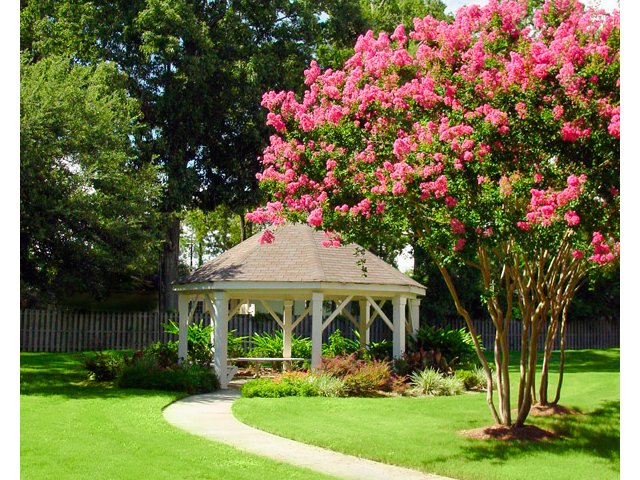 Maison Bocage Image 5