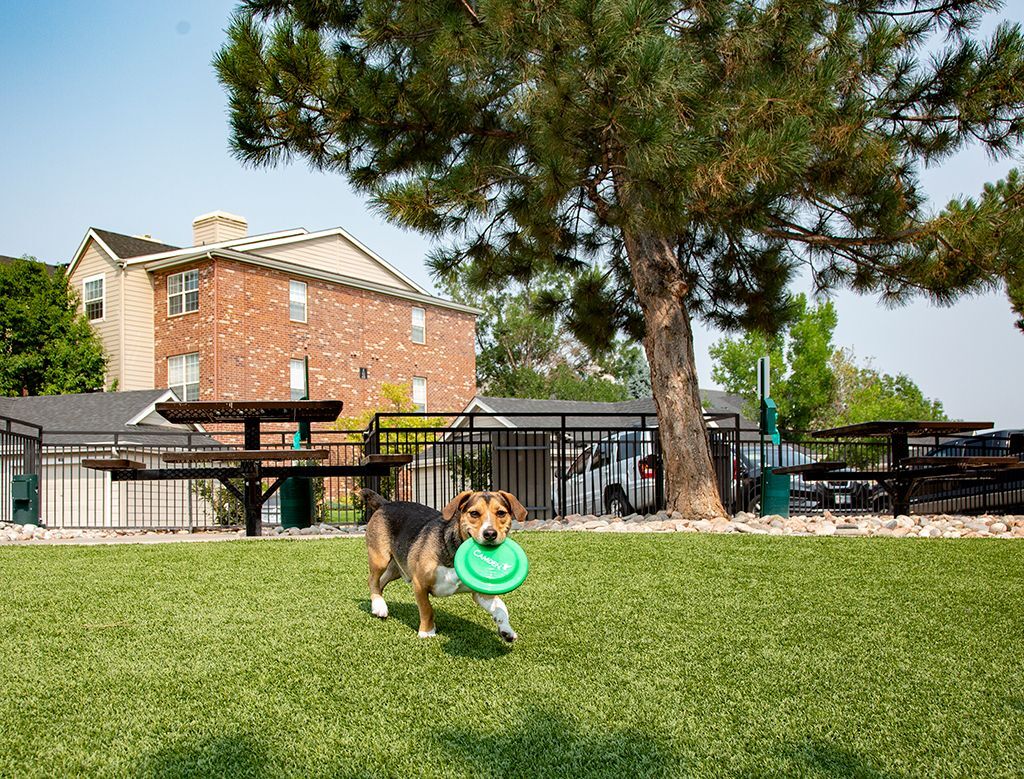 Camden Caley Image 22