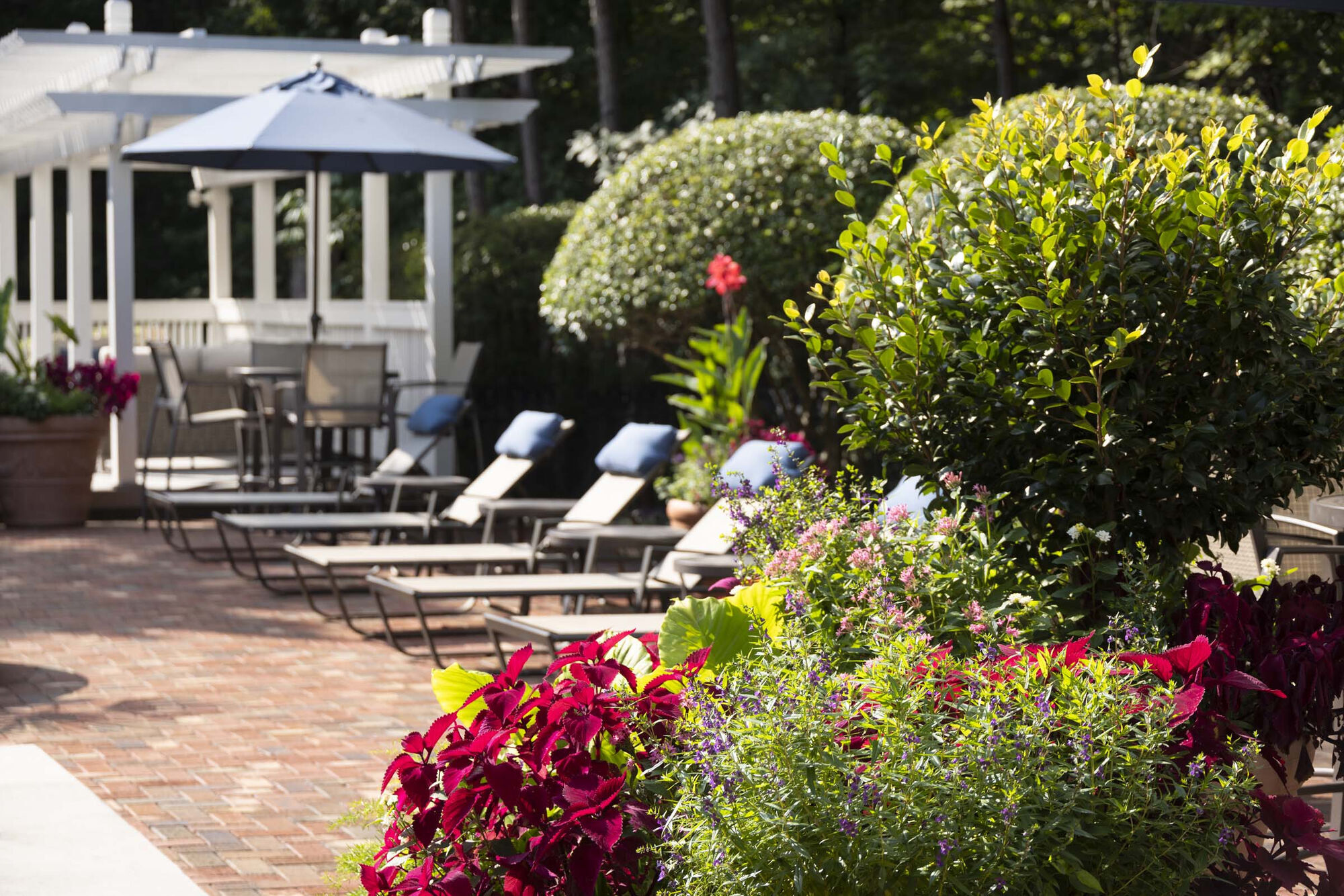 Camden Lake Pine Image 25