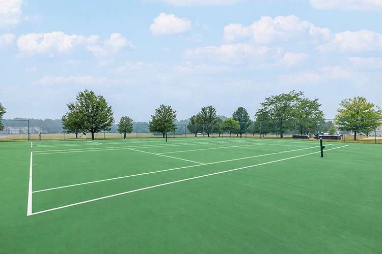 Somerset Park Image 4