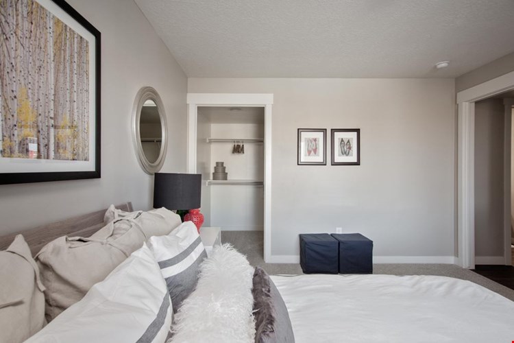 Boulder Canyon Image 20