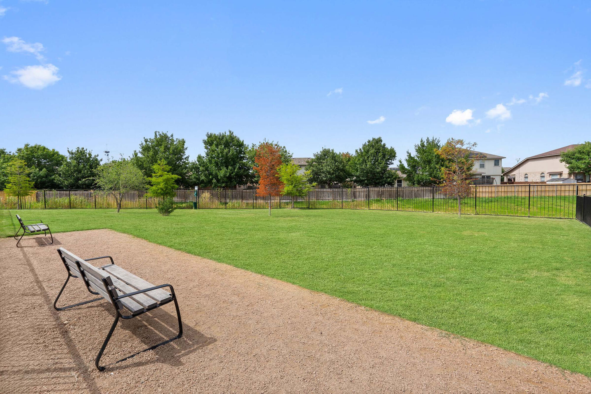 Camden Leander Image 43