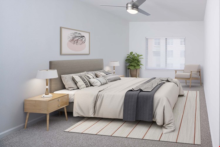 Camden Orange Court Image 7