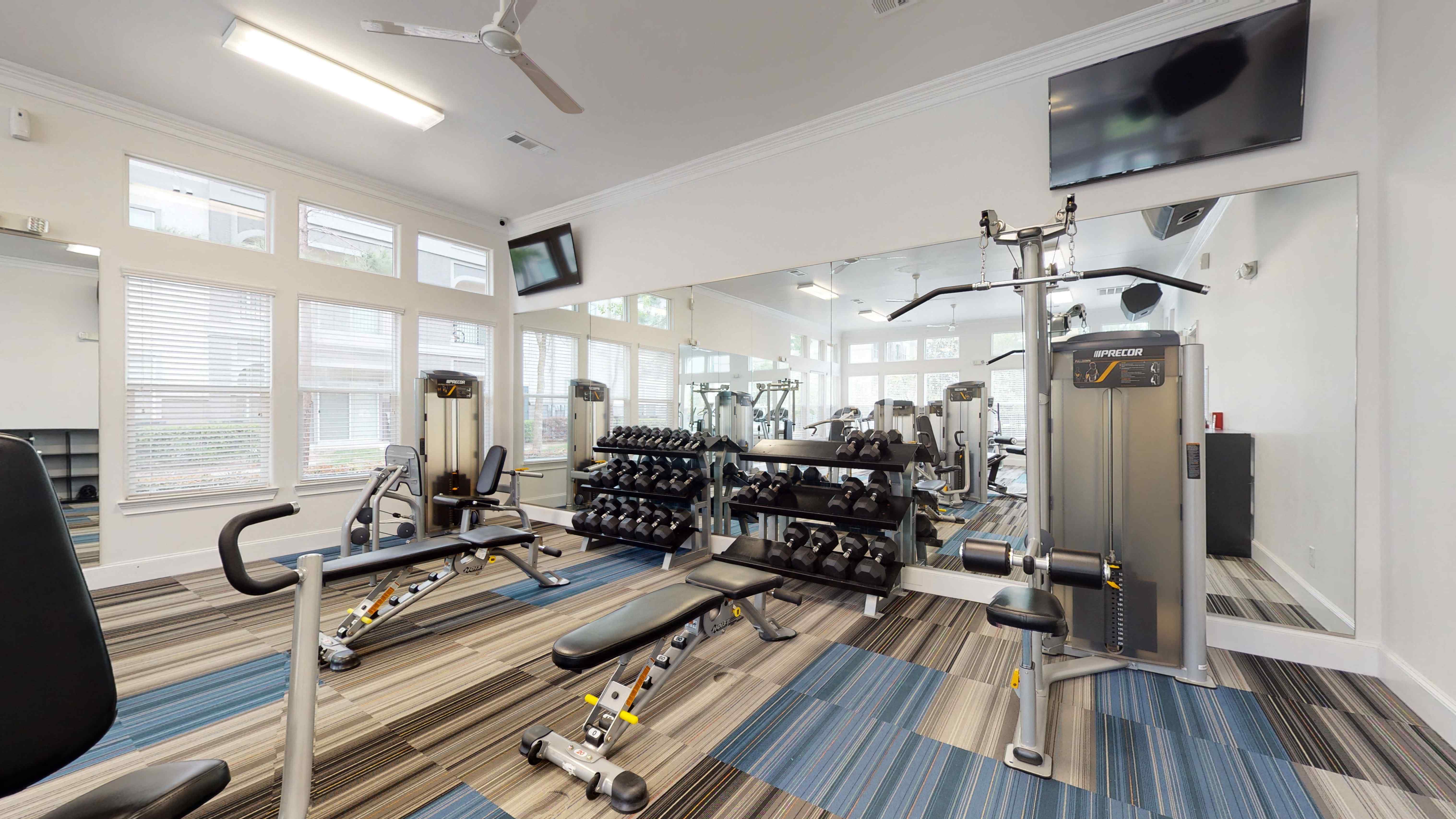 Berkshire Jones Forest Image 45