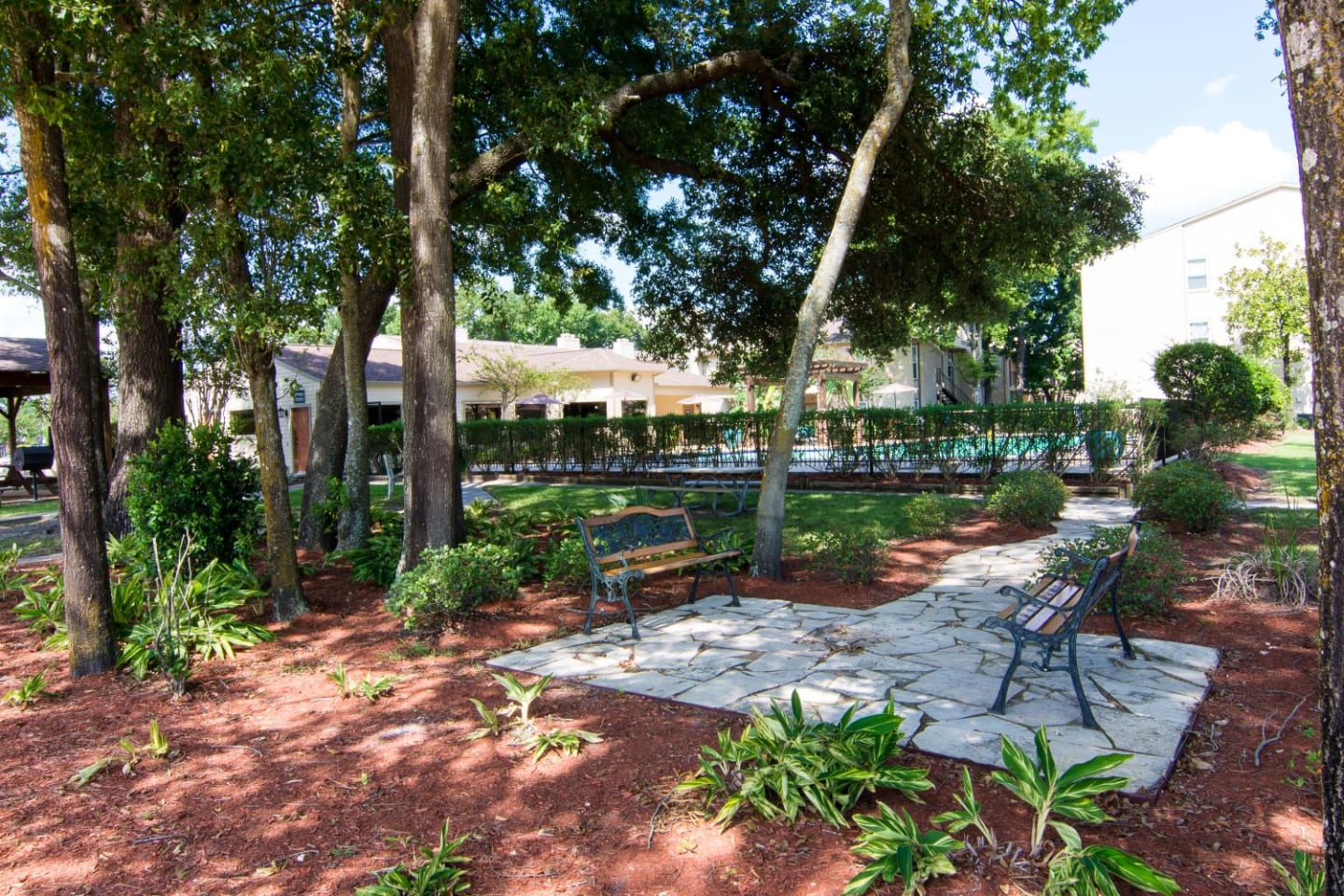 Deerbrook Forest Image 5