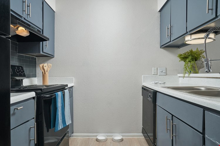 Distinction Apartment Homes Image 7