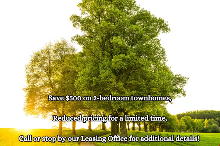 Highland at Hickory Hills Townhomes Image 59