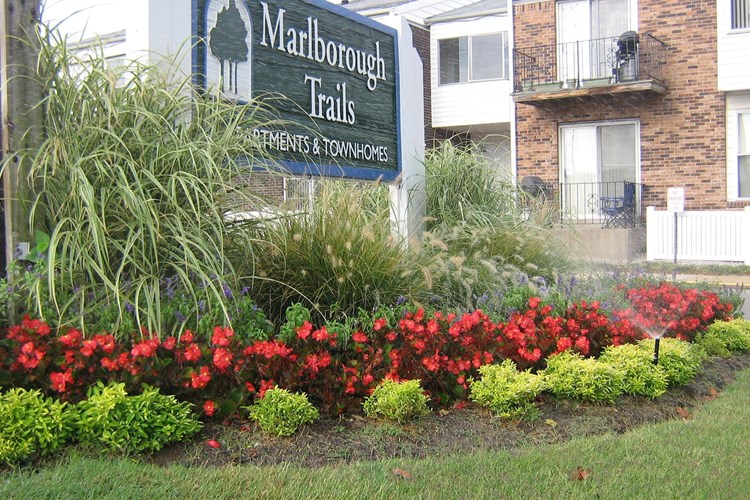 Marlborough Trails Apartments & Townhomes Image 3