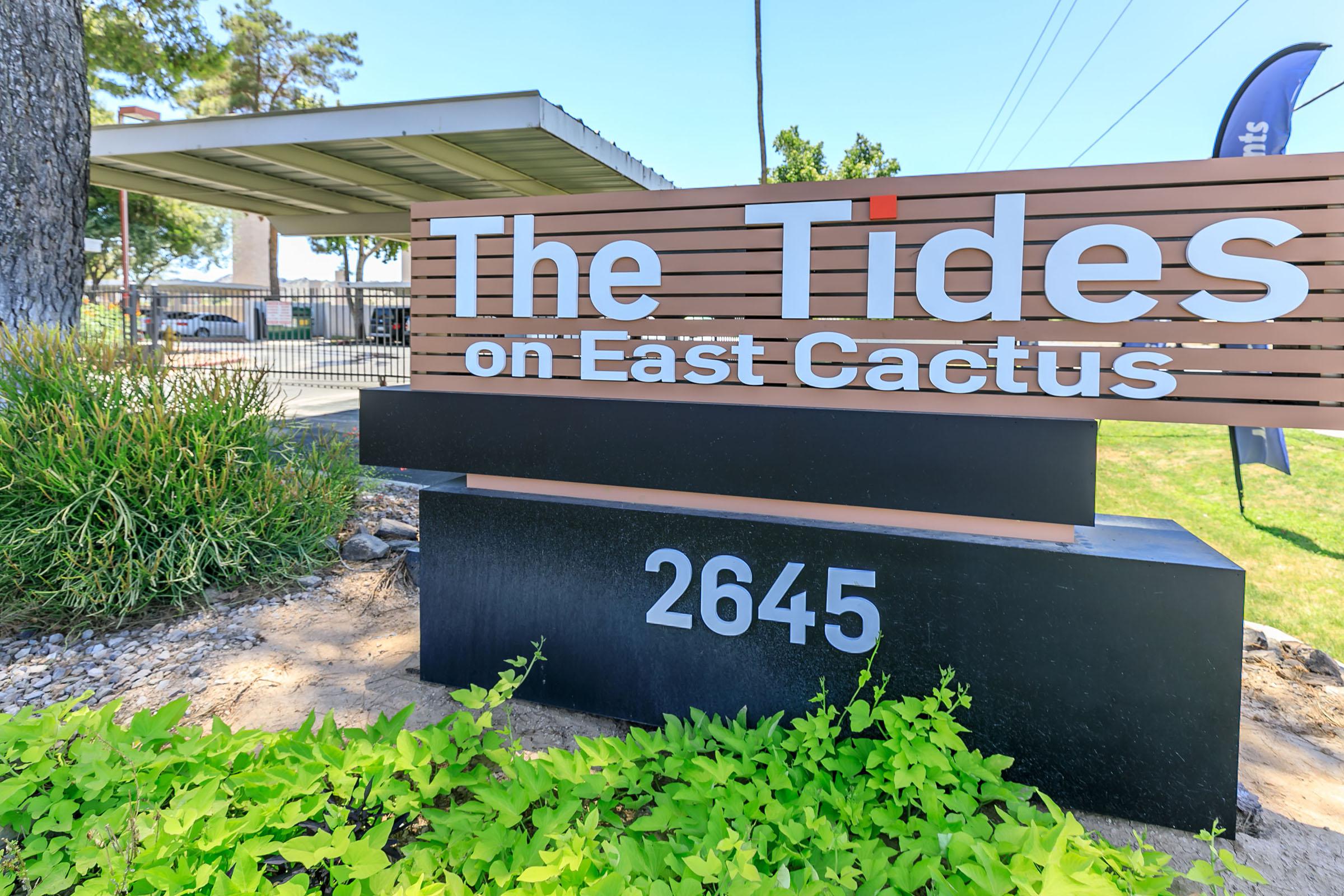 The Tides on East Cactus Image 4