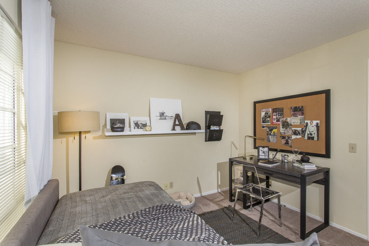 IMT Sorrento Valley Image 25