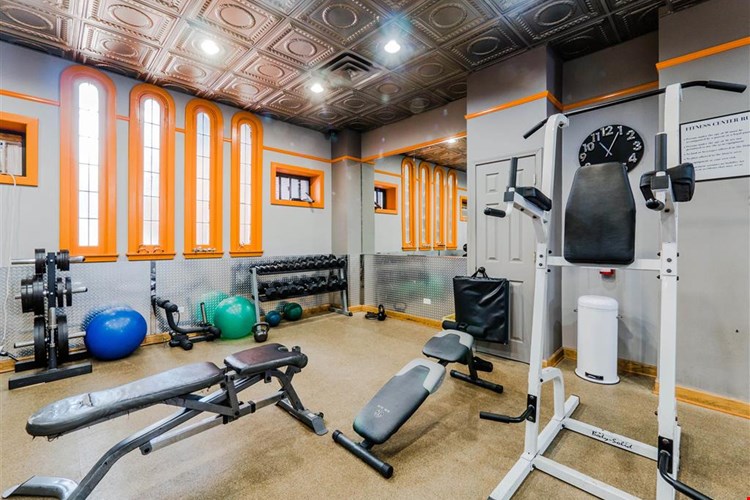 The Patricians Image 6