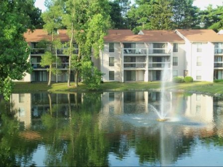 The Pines of Cloverlane Image 7