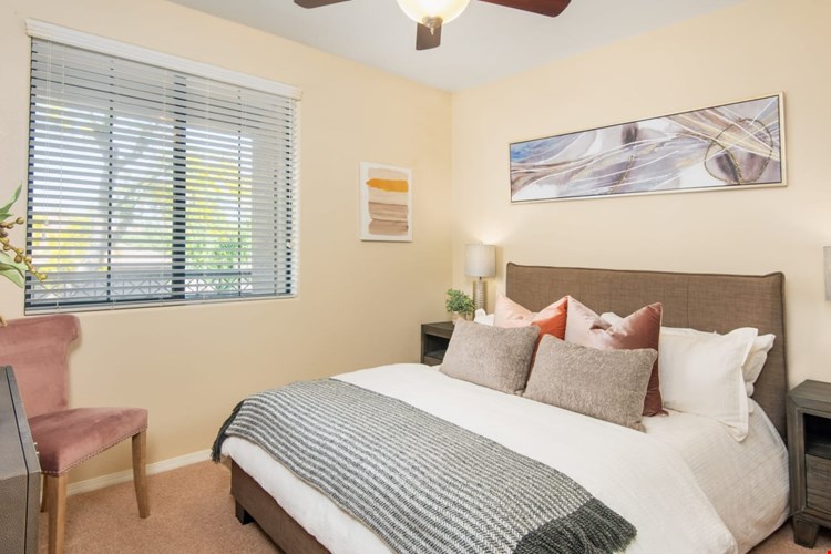 Broadstone Desert Sky Image 2