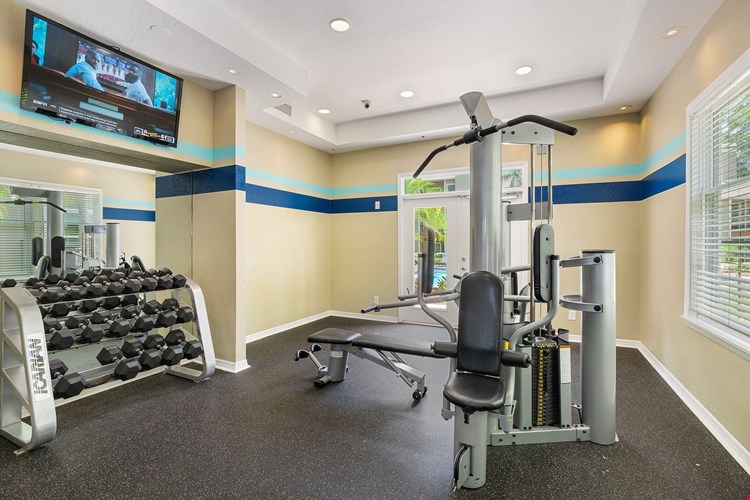 Springs Colony Image 18