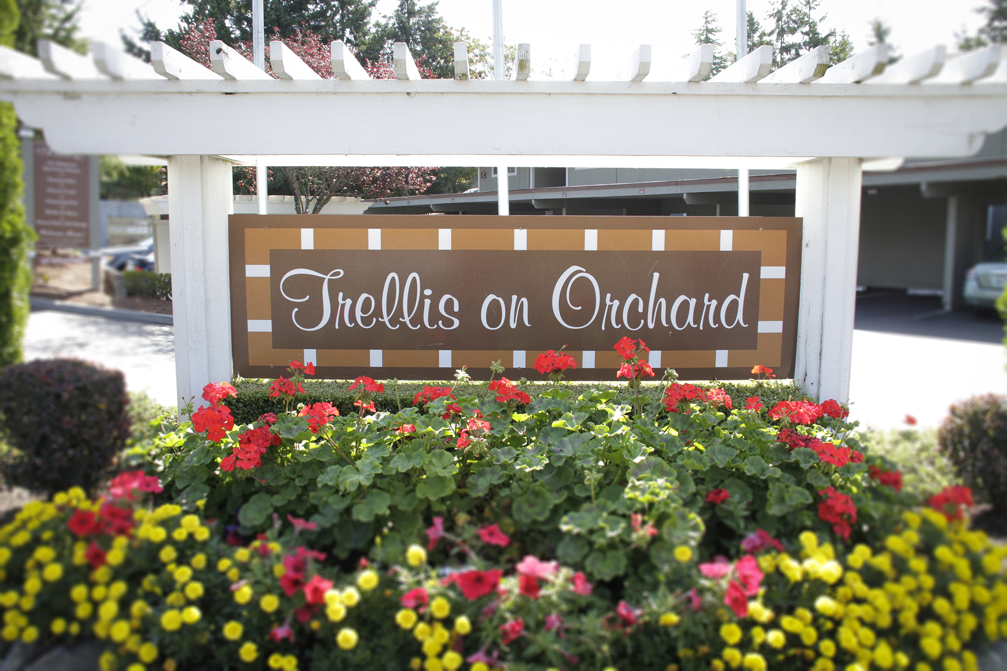 Trellis on Orchard Image 1