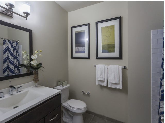 Chestnut Pointe Apartments Image 13