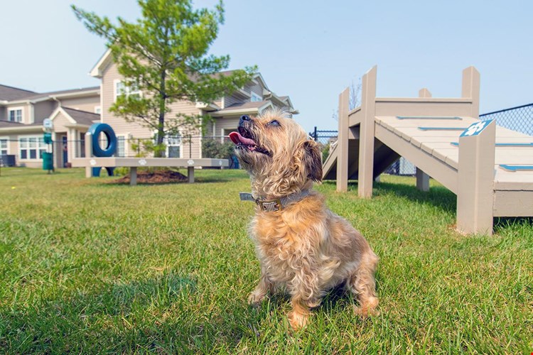 We offer pet friendly apartments in Monroe, so be sure to bring your furry friend along!