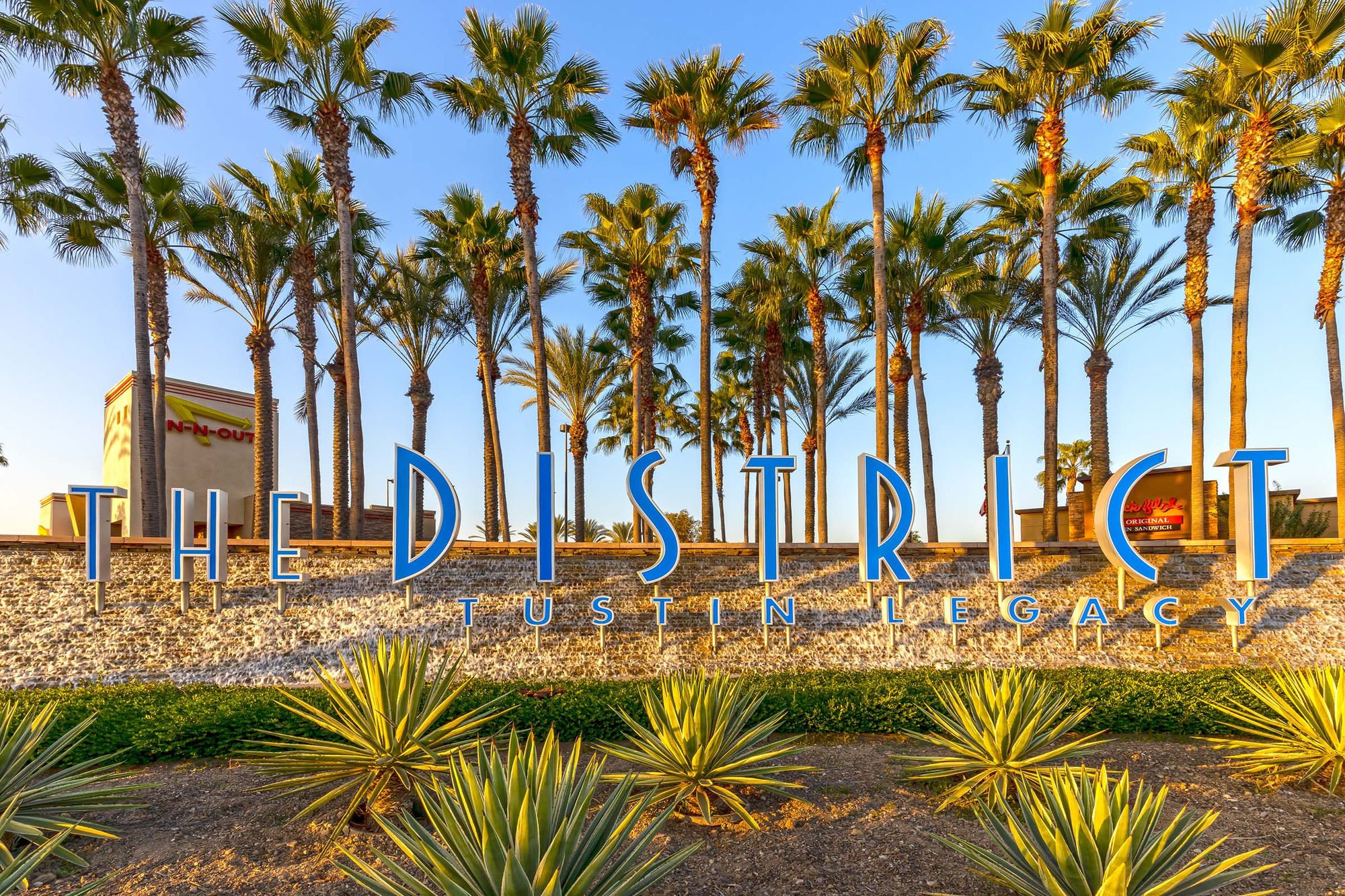 Camden Main And Jamboree Image 59