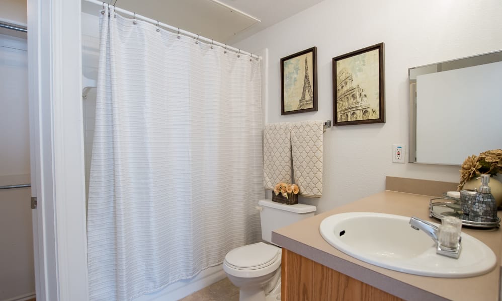 Pointe of Ridgeland Image 13