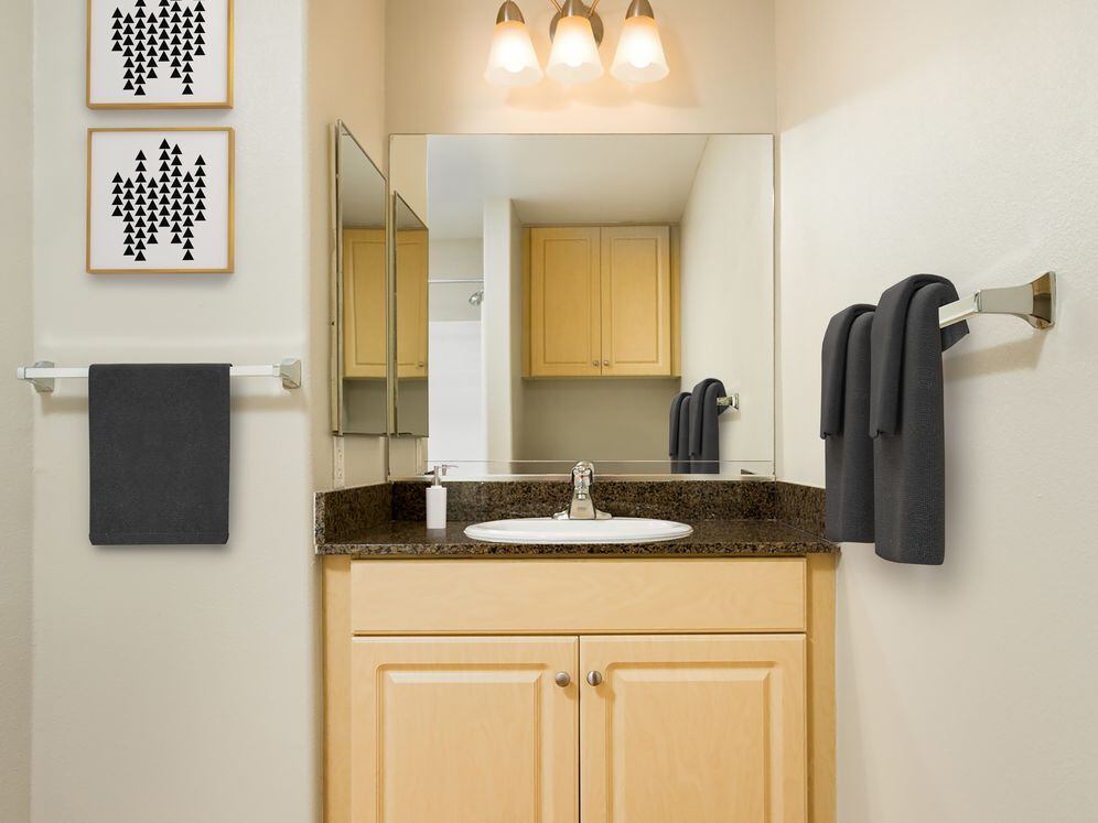 Classic Package I bath with oak cabinetry, dark granite countertop, and hard surface flooring